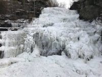 Frozen falls in the Finger Lakes (photo)