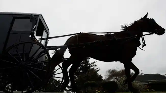 Three children hurt after pickup truck collides with horse-and-buggy Three children hurt after pickup truck collides with horse-and-buggy