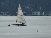 Snowy owl on the ice on Lake Ontario (photo)
