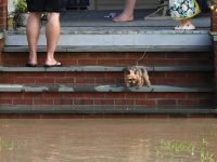 Cayuga County to state's U.S. reps: Change FEMA's mind about disaster declaration denial