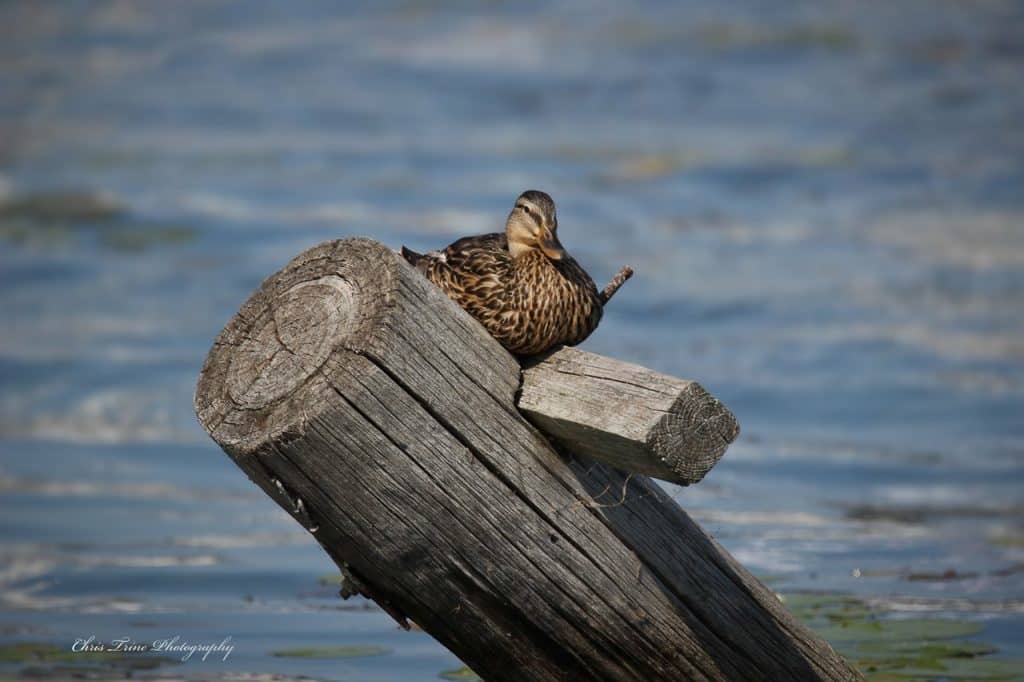 Seating for One in Wayne County (photo)