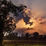 Showers linger across Finger Lakes and Central New York before warmer weekend weather