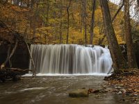 Great Gully Falls in Cayuga County (photo)