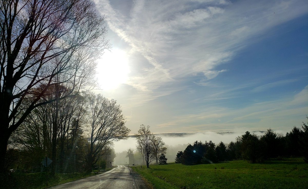 FL1 FORECAST: Dense fog gives way to a sunnier Friday before showers return this weekend