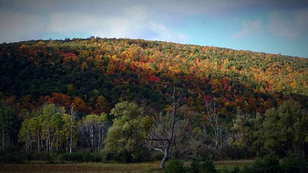 Finger Lakes National Forest hosts 26th annual fishing day Finger Lakes National Forest hosts 26th annual fishing day
