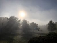 Foggy start (photo)