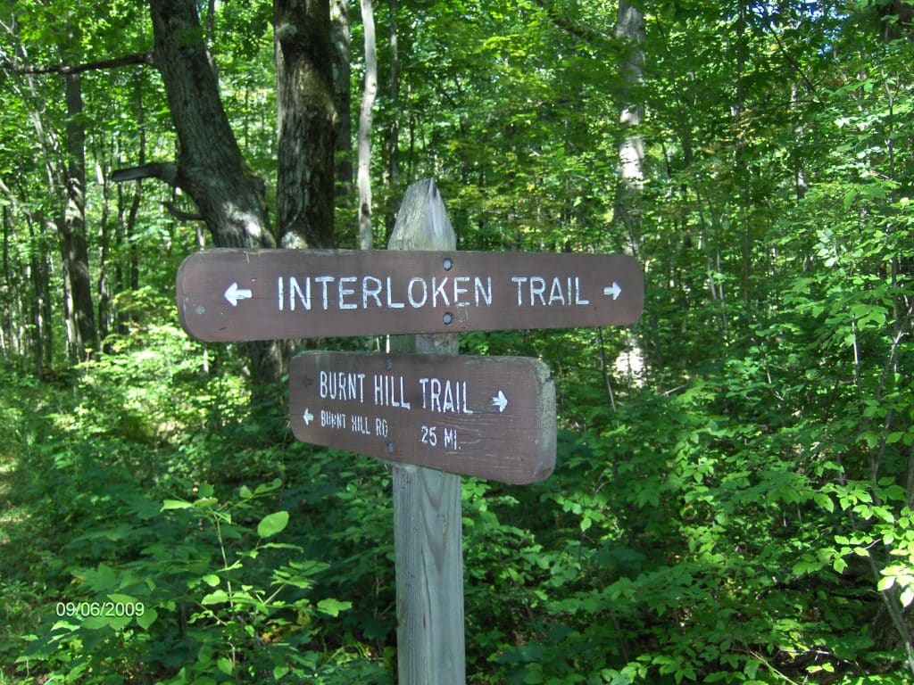 Comments sought on grassland project at Finger Lakes National Forest