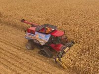 Farmers working non-stop to harvest before winter weather takes over