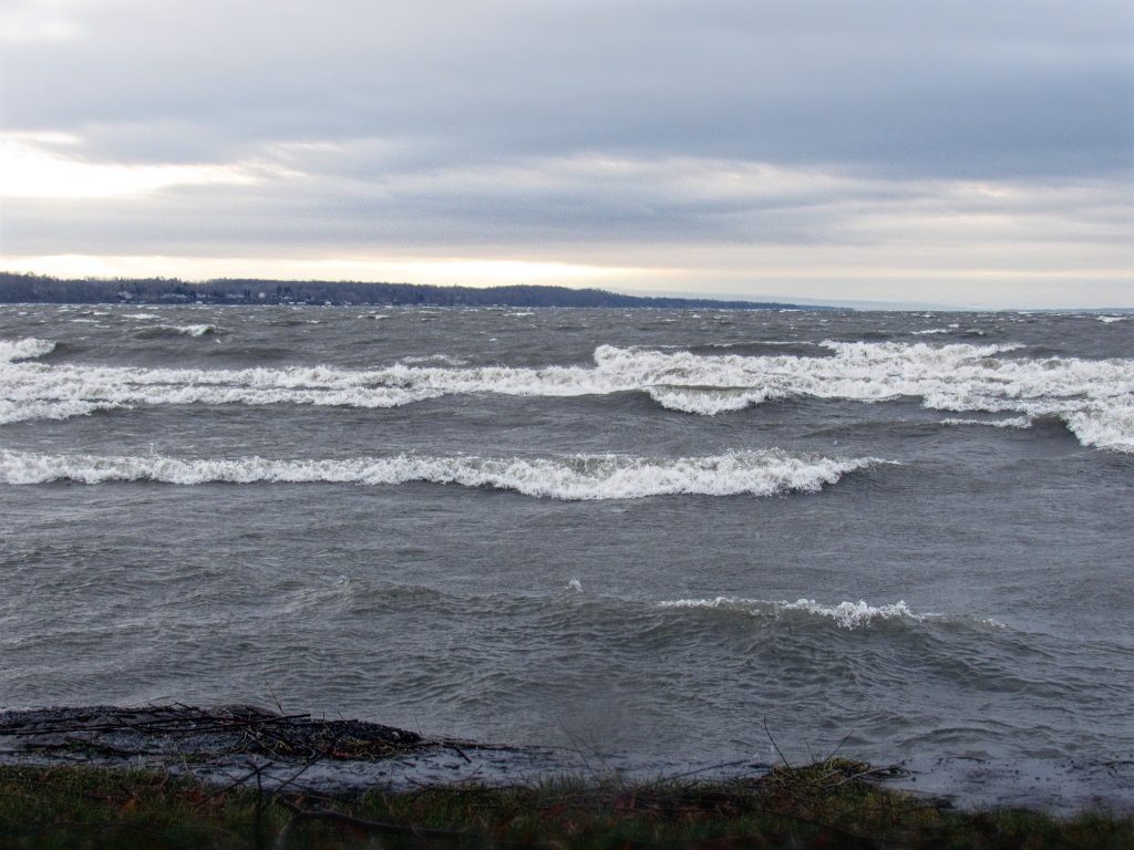 DEC: Bacteria to blame for ‘significant’ die-off of fish in Seneca Lake