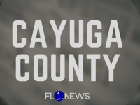 Cayuga County Legislature Democrats favor plan to shrink legislature to 11 members