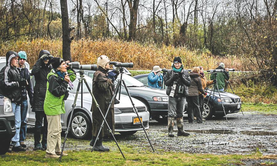 INSIDE THE FLX: Finger Lakes Birding Festival comes to Cayuga County (podcast) INSIDE THE FLX: Finger Lakes Birding Festival comes to Cayuga County (podcast)