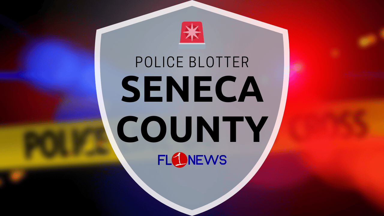 Pennsylvania man charged with burglary at Seneca Falls Walmart