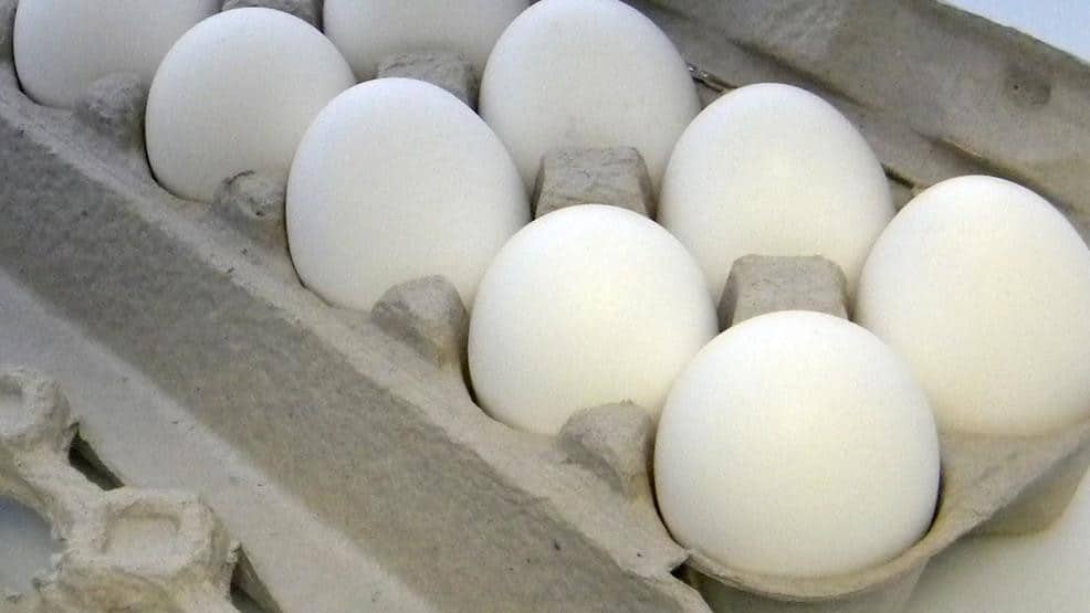Researchers say eggs don't increase risk of heart disease