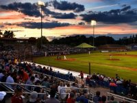 Auburn could see hybrid-professional baseball model continue