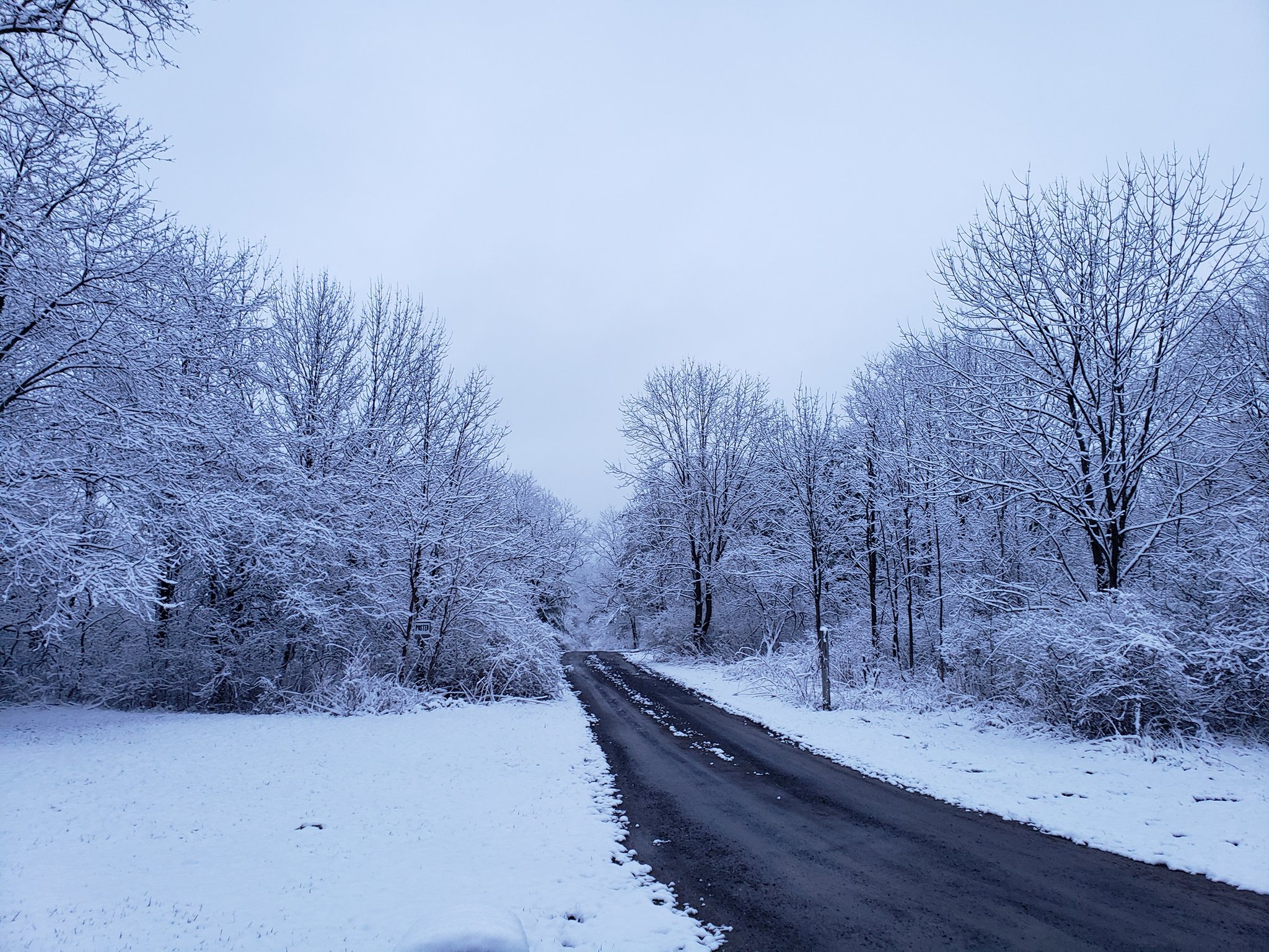 Snowy spring day in the Finger Lakes (photo) Snowy spring day in the Finger Lakes (photo)