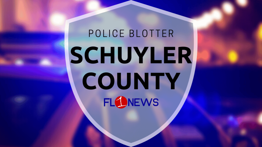 Deputies: Hammondsport man hits deputy’s cruiser head-on while fleeing in Schuyler County