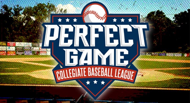 PGCBL scraps 2020 season; No Newark Pilots or Geneva Red Wings baseball this summer