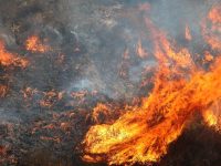 Firefighters called to brush fire near State Route 332 in Ontario County