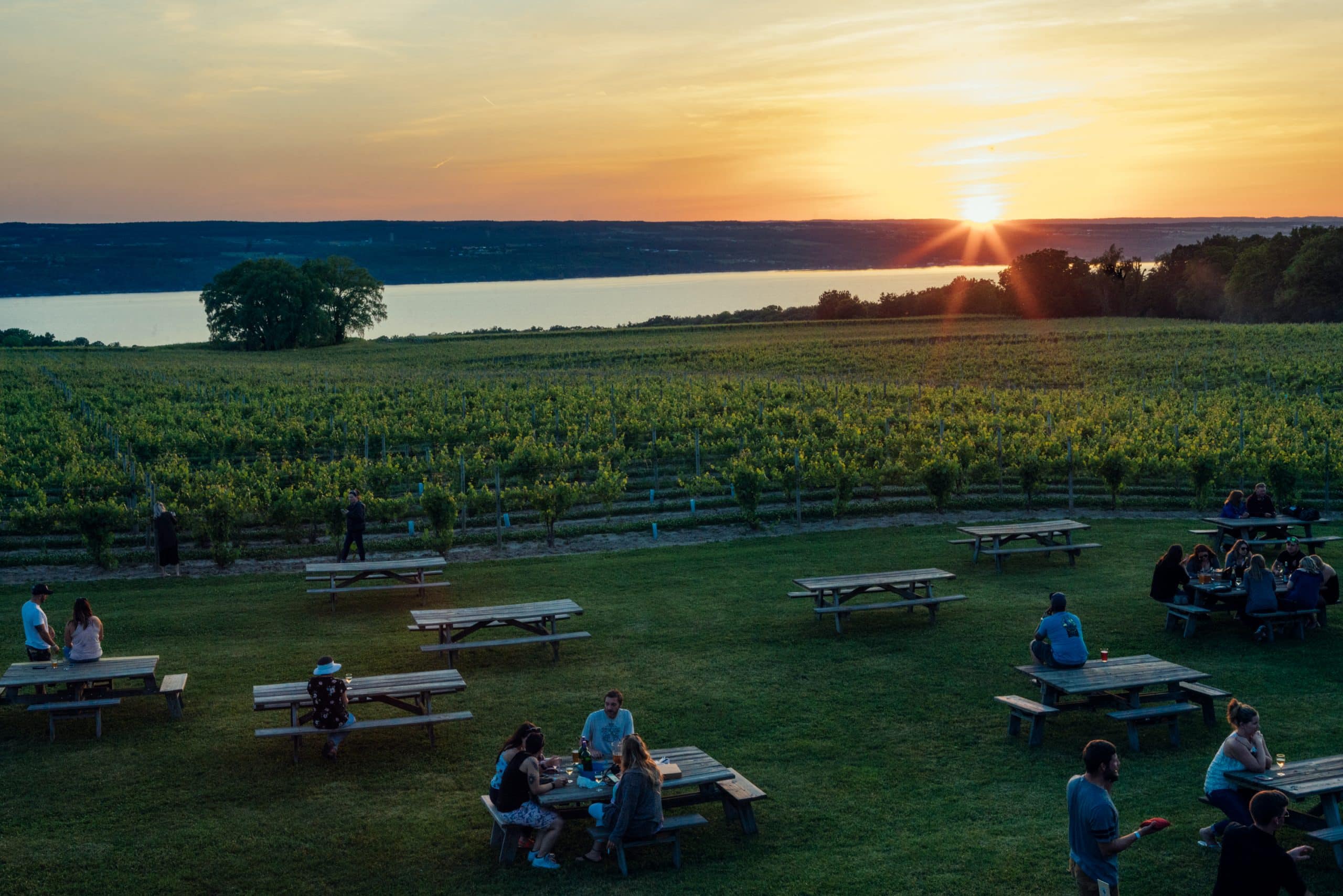 Seneca Lake Wine Trail gets big win, recognition from Trip Advisor