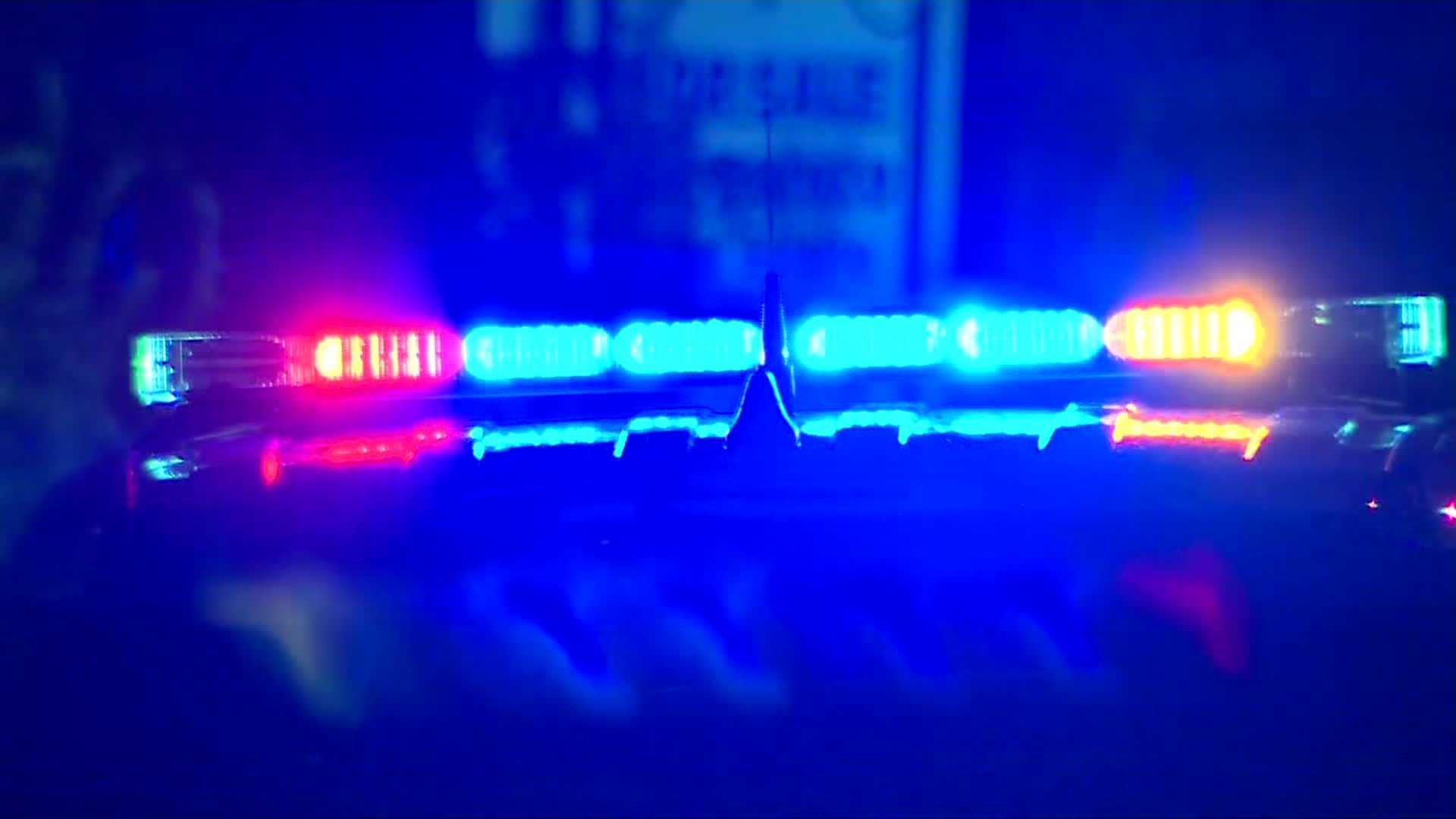 Newark Man Charged With Assault After Disturbance in Arcadia