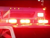 Car crashes into tree near border of Scipio, Springport