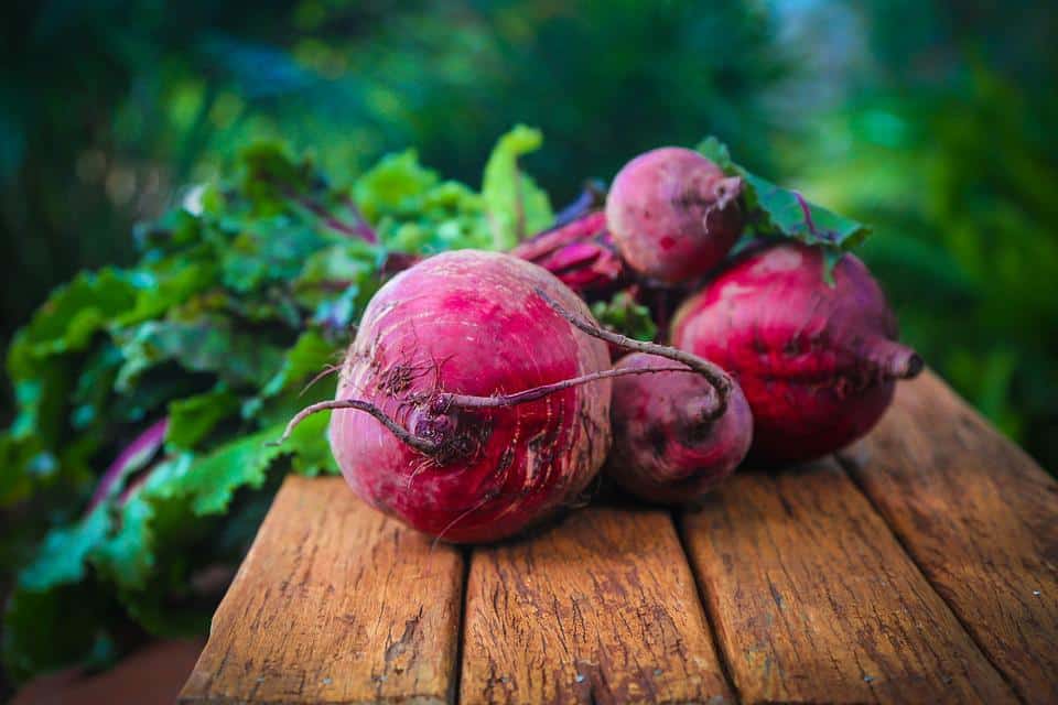Nothing Beats Beets: 7 health benefits of eating beets