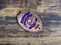 Seneca County police reform & reinvention survey results