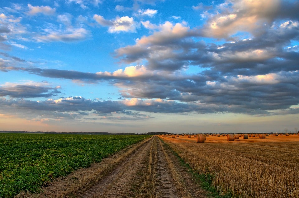 5 time-tested strategies for preventing farmland soil erosion