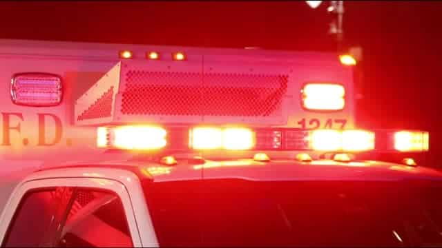 Person hospitalized after fall from tree stand in Cayuga County Person hospitalized after fall from tree stand in Cayuga County