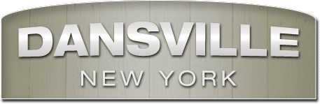 Dansville pauses solar developments to create laws surrounding the project Dansville pauses solar developments to create laws surrounding the project