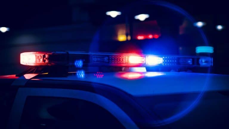Two arrested after child sex abuse investigation in Wayne County