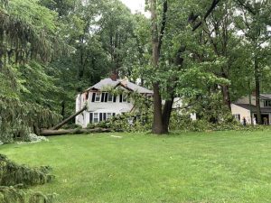 Storm damage reported in parts of Finger Lakes after severe weather (photos & video)