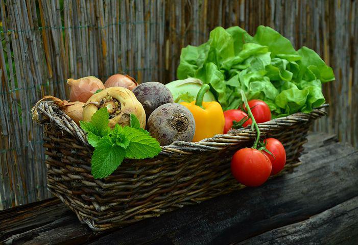 Cayuga County senior farmers market coupons reduced Cayuga County senior farmers market coupons reduced