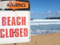Cayuga County beach shut down after algae bloom spotted