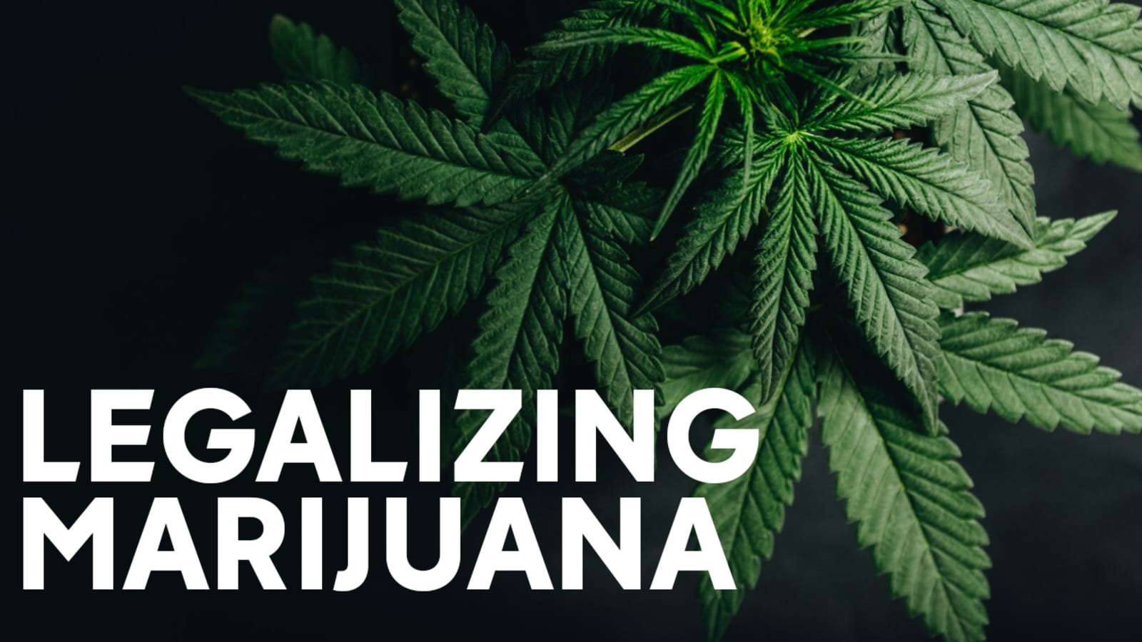 Gorham voters will have a chance to overturn town board’s marijuana opt-out decision Tuesday Gorham voters will have a chance to overturn town board’s marijuana opt-out decision Tuesday
