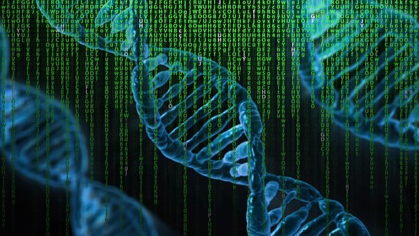 Study links glioma progression to loss of DNA methylation Study links glioma progression to loss of DNA methylation