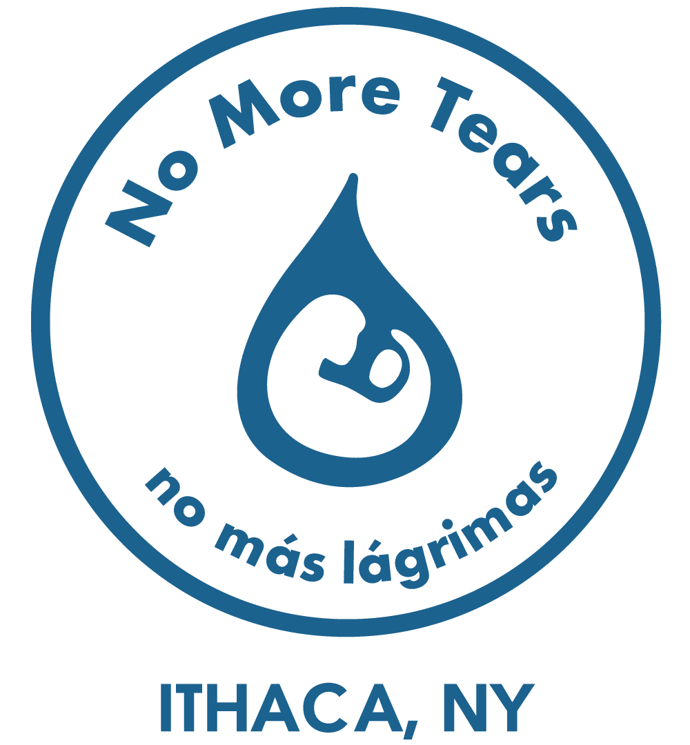 Ithaca woman began nonprofit, No More Tears, out of her kitchen and now serves hundreds of people Ithaca woman began nonprofit, No More Tears, out of her kitchen and now serves hundreds of people