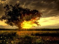 Seneca Meadows is accepting photo submissions for their 2022 SMI Community Calendar