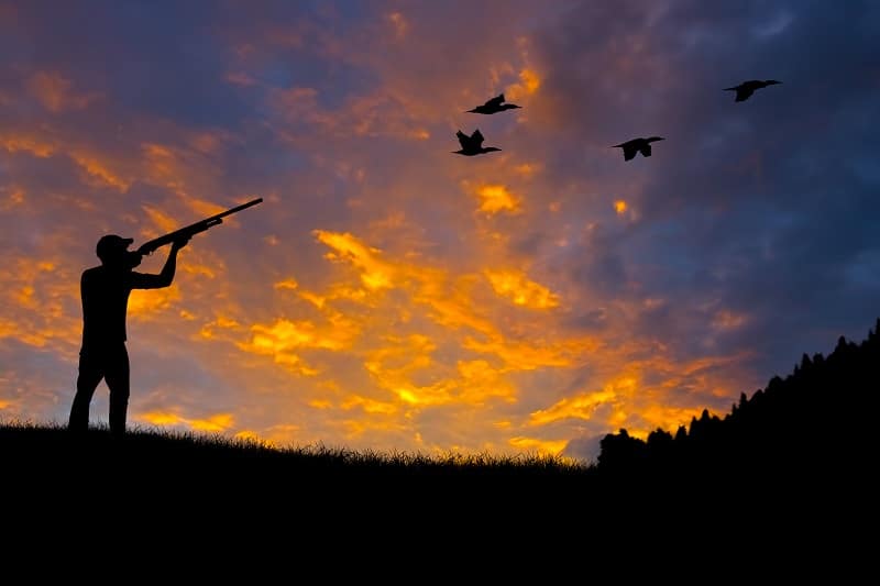 New York DEC announces most small game hunting seasons begin Oct. 1