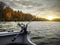 Free fishing day in New York State will be Nov. 11, 2022