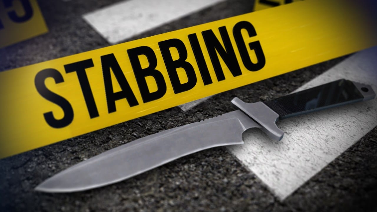 Painted Post woman charged with felony assault after stabbing in Erwin Painted Post woman charged with felony assault after stabbing in Erwin