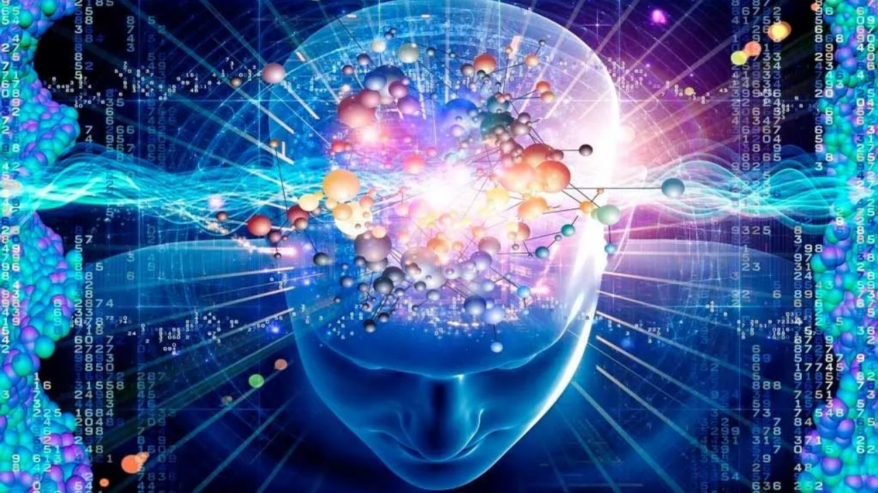 Science picture of human brain