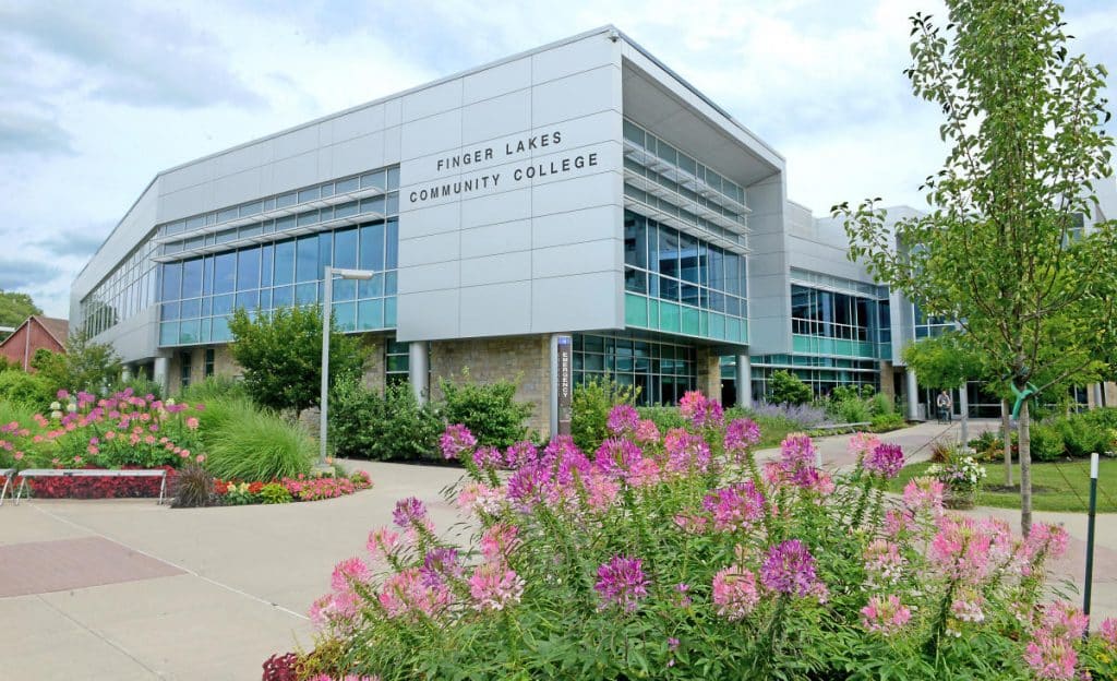 FLCC offers free AI focus group webinar