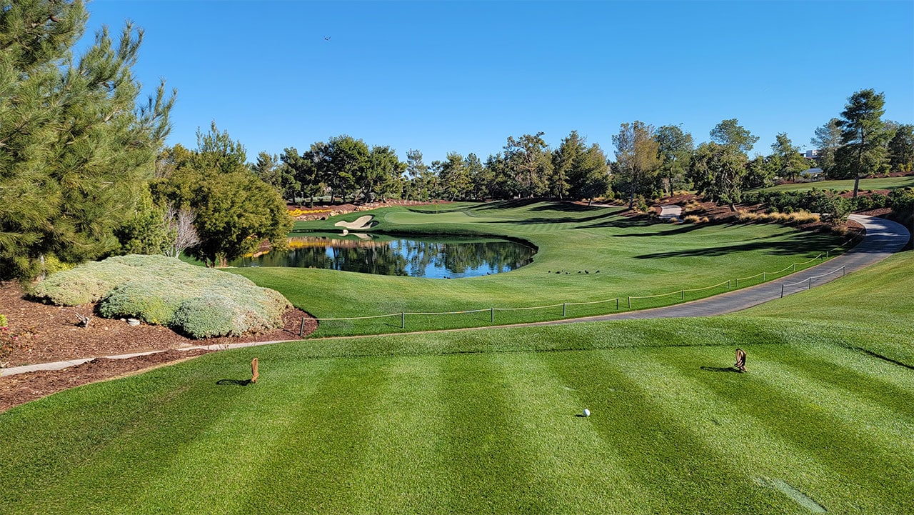Wynn Golf Club Review Is it worth the 650 price?