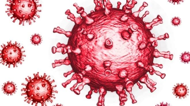 New ‘Nimbus’ COVID variant detected in New York New ‘Nimbus’ COVID variant detected in New York