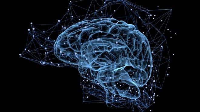 Alzheimer’s expert to speak on brain health in Newfield Alzheimer’s expert to speak on brain health in Newfield