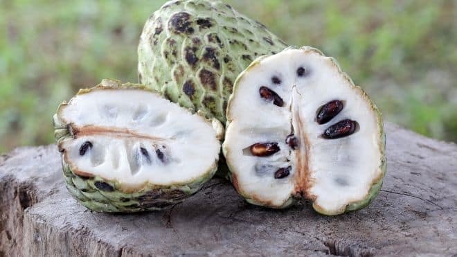 Recall on custard apple pulp due to salmonella Recall on custard apple pulp due to salmonella