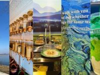 Finger Lakes Travel: Top 5 places we visited this month