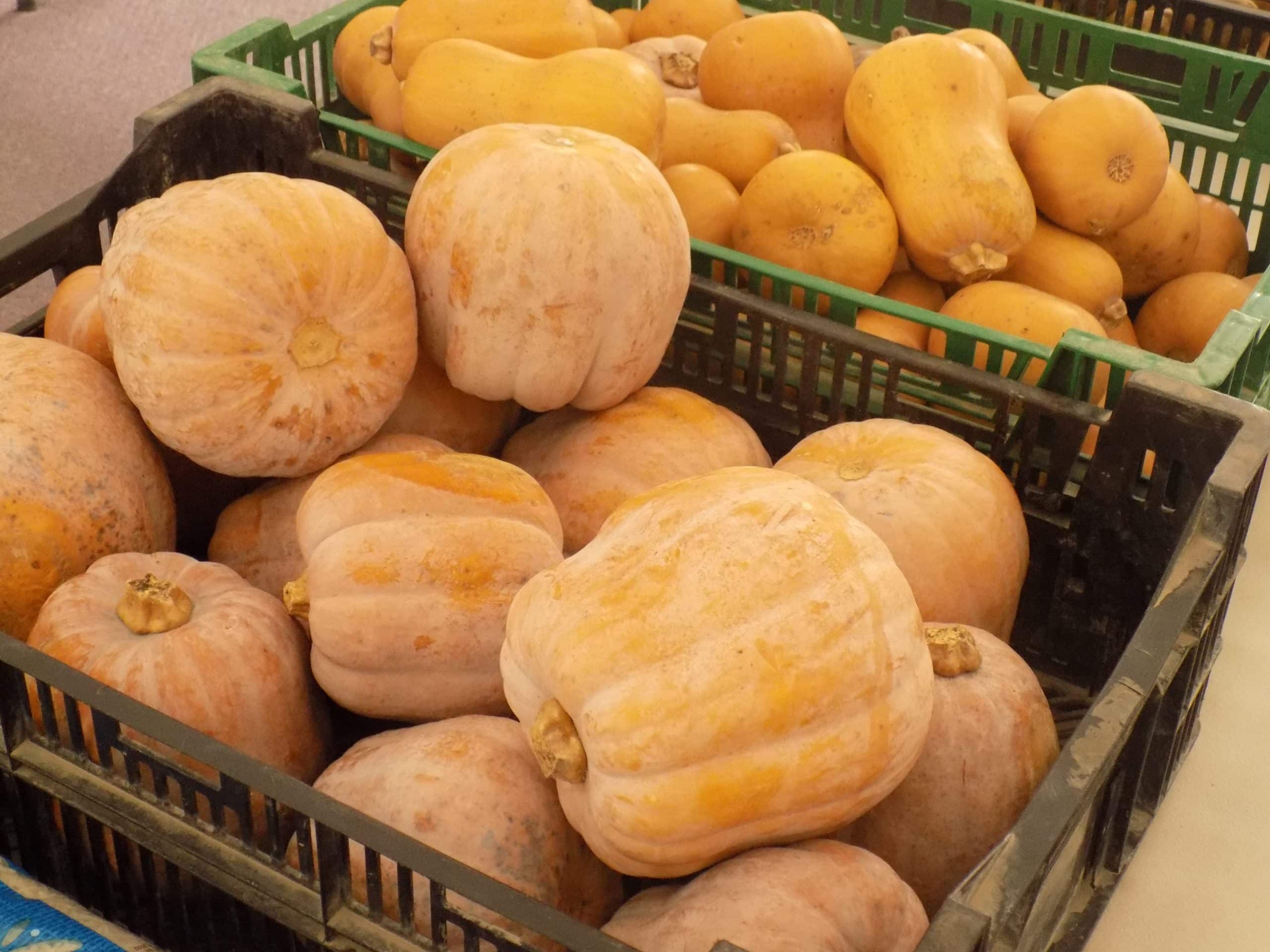 INSIDE THE FLX The Lodi Food4All Pantry, its mission, its volunteers