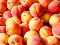 Recall: Peaches causing health risk